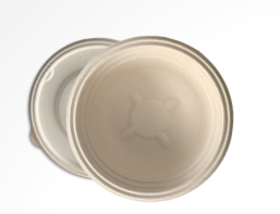 500 ML Anti Leak Container